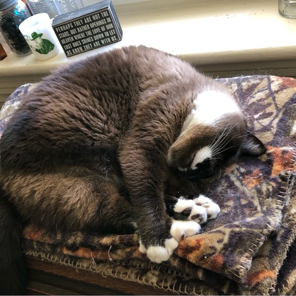 Meet your Posher, Mary - Picture 8 of 16